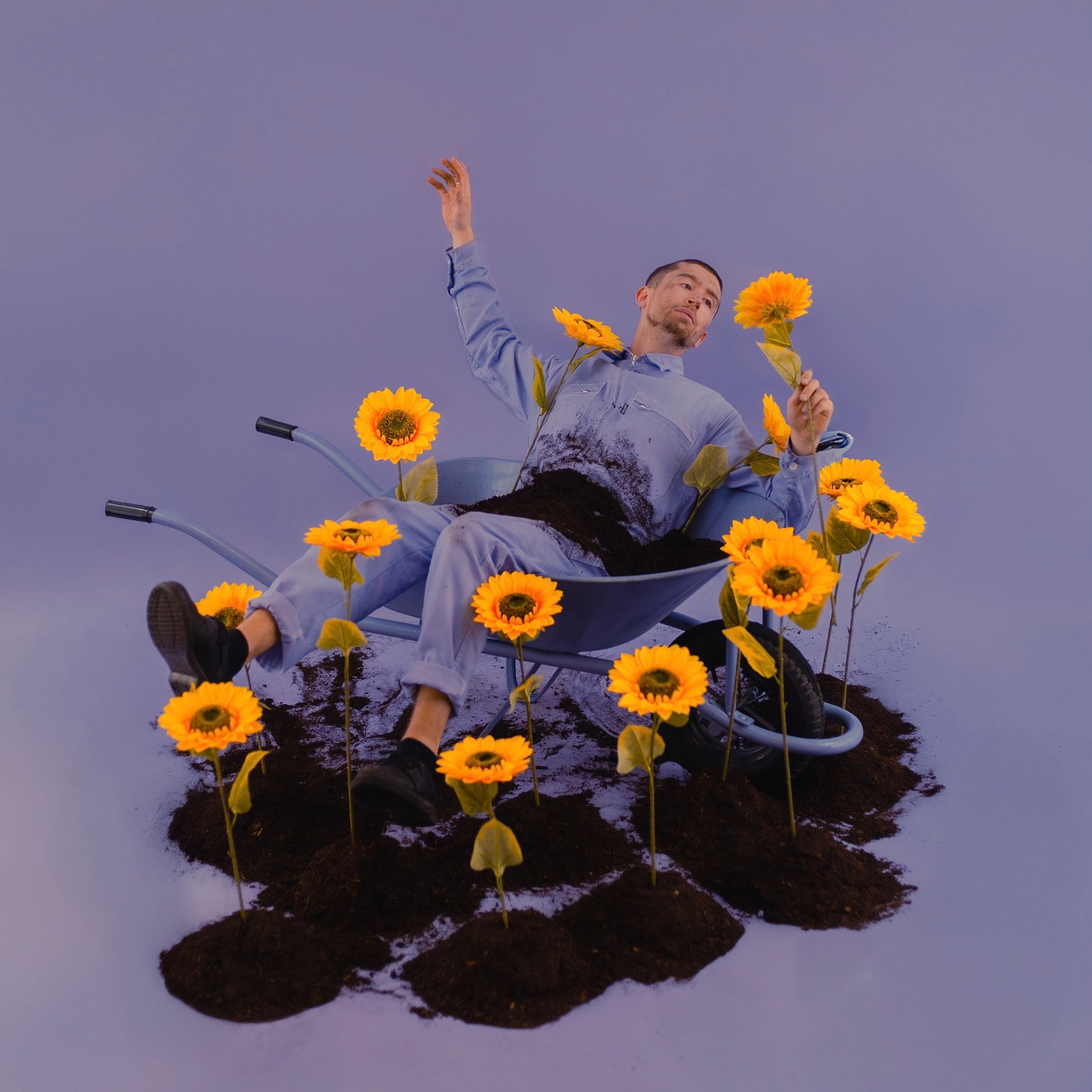 Ondes allongé dans une brouette de terre, entouré de tournesols, en combinaison bleue sur fond lavande.